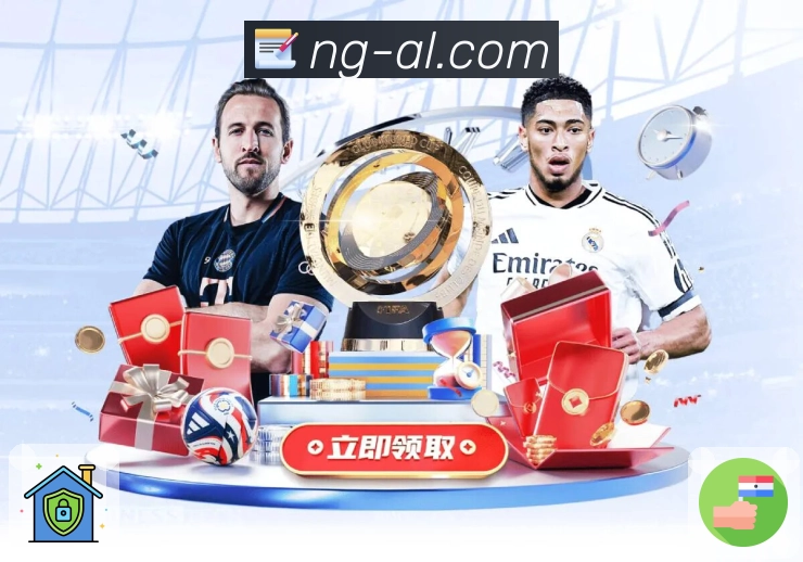 NG体育新手版App展示图